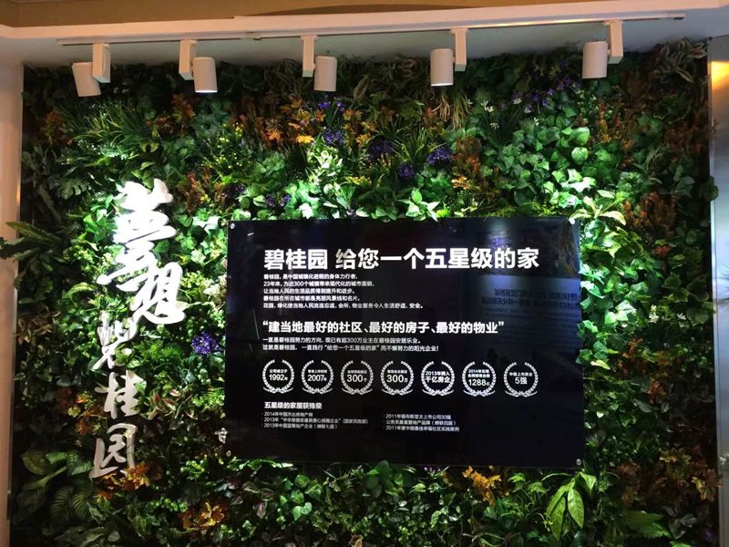 碧桂园